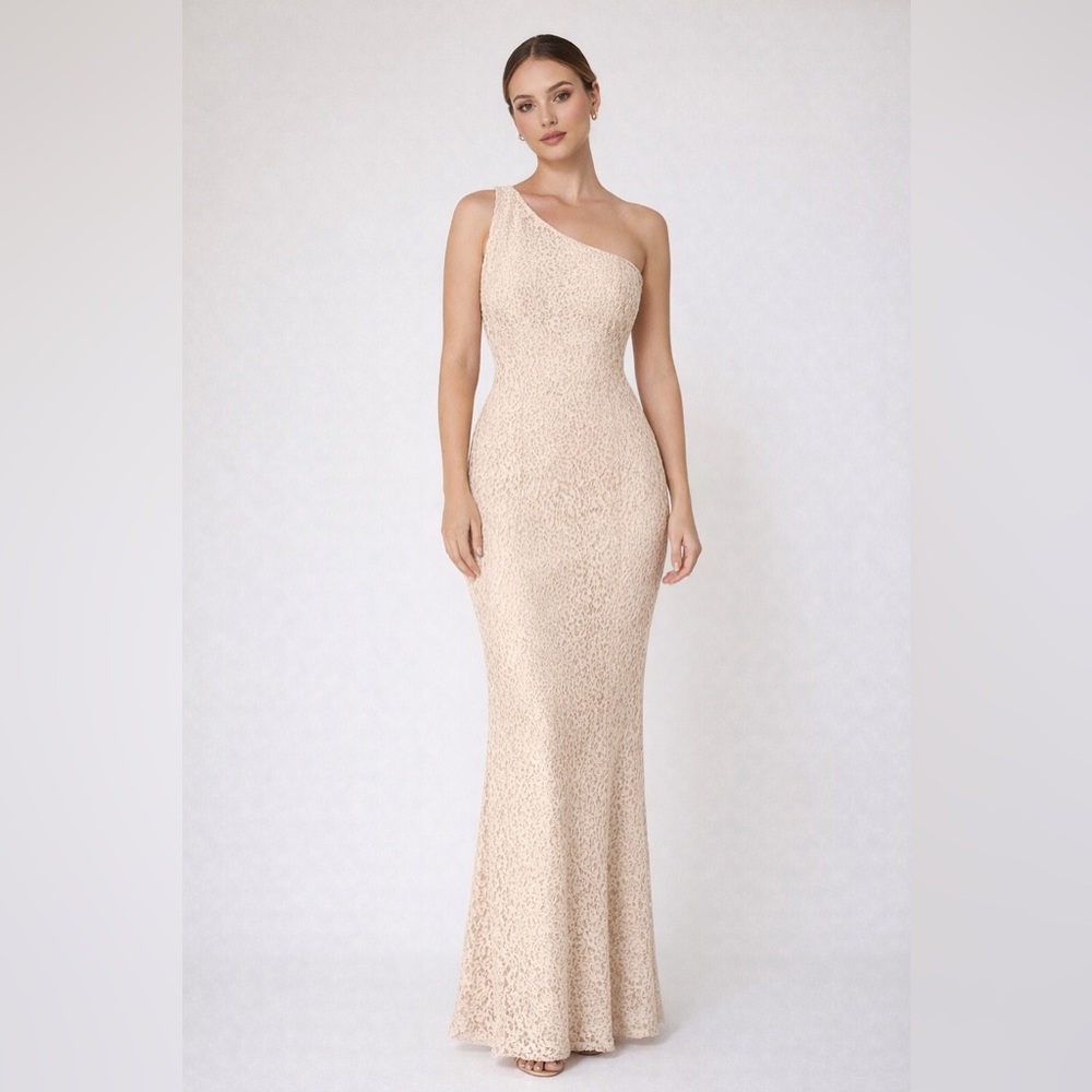 Adrianna Papell One Shoulder Lace Gown NWT SZ 6 Light Blush Bridesmaid GALA MOB